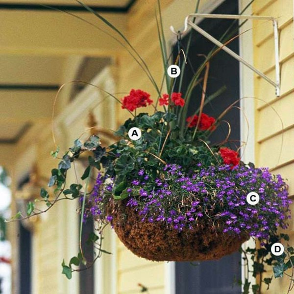 Landscaping: Create stunning in the garden, hanging baskets
