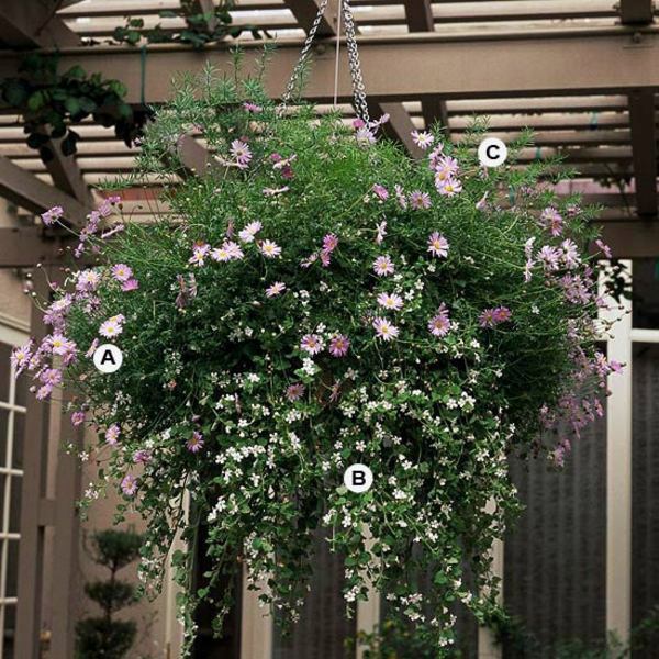 Landscaping: Create stunning in the garden, hanging baskets