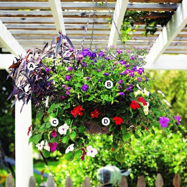 Landscaping: Create stunning in the garden, hanging baskets