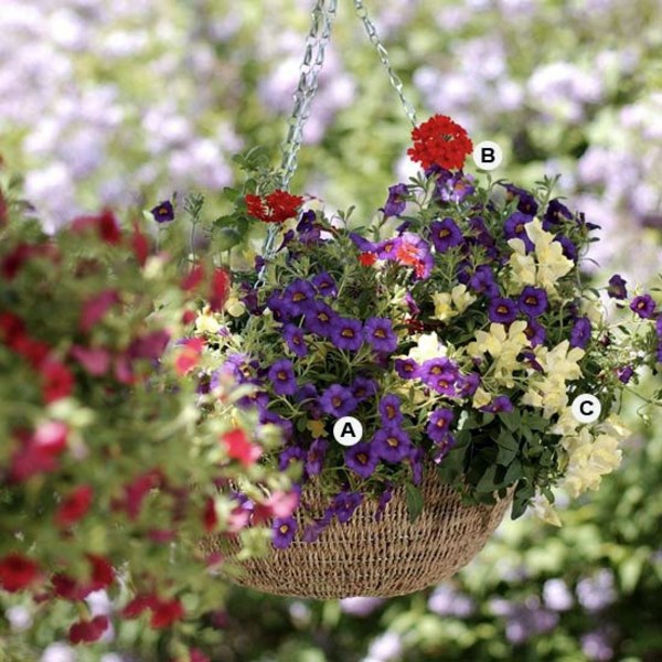 Landscaping: Create stunning in the garden, hanging baskets