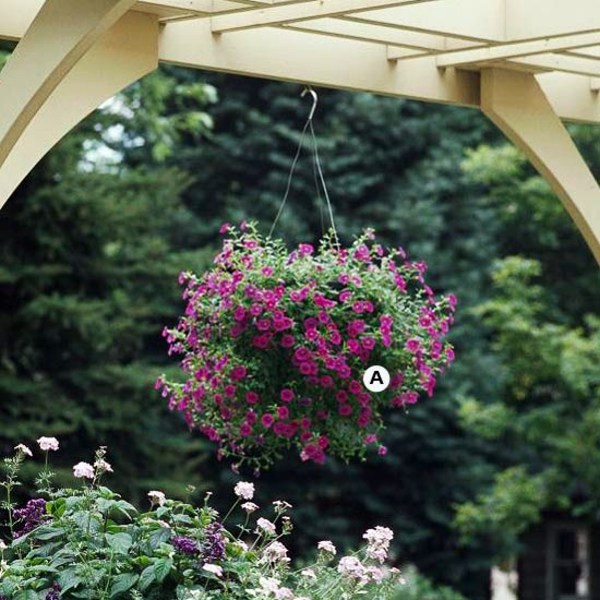 Landscaping: Create stunning in the garden, hanging baskets