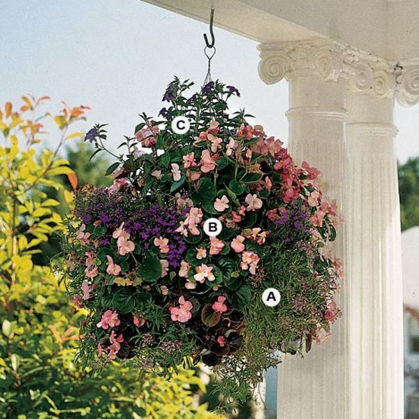 Landscaping: Create stunning in the garden, hanging baskets