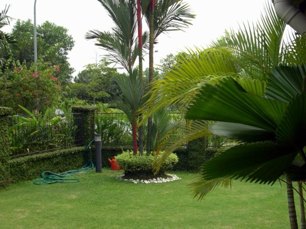 50 modern garden design ideas