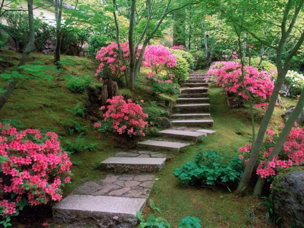 50 modern garden design ideas