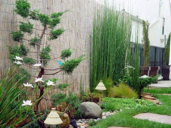 50 modern garden design ideas