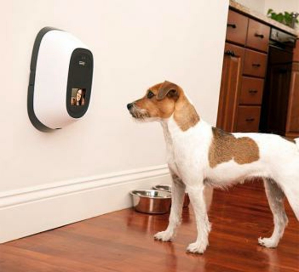 PetChatz webcam and Feeder PetChatz webcam and Feeder