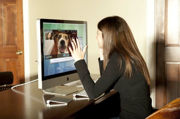 PetChatz webcam and Feeder PetChatz webcam and Feeder
