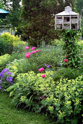 A flowery summer A flowery summer
