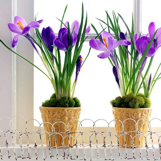 Make wonderful and easy decoration for Easter itself