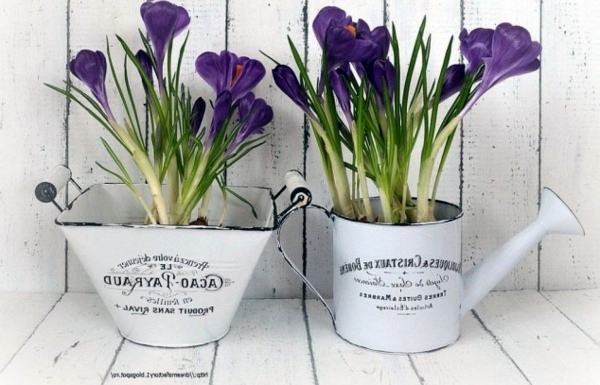 Original flowerpots from discarded objects