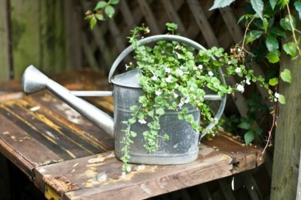 Original flowerpots from discarded objects