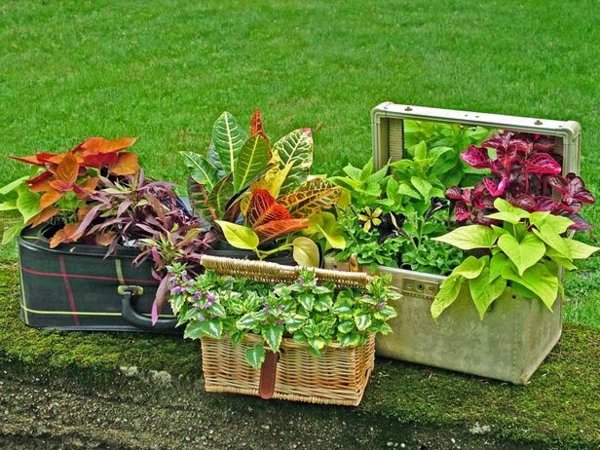 Original flowerpots from discarded objects