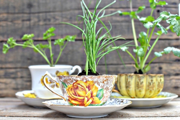 Original flowerpots from discarded objects