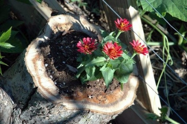 Original flowerpots from discarded objects