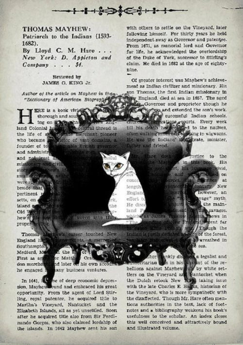Cats Deco - Dedicate your decoration on the theme: "cat"