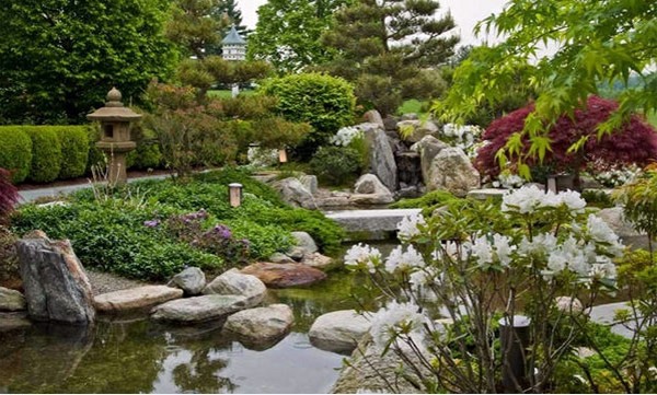 Creating a garden pond - pictures and ideas for creative landscaping