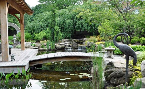 Creating a garden pond - pictures and ideas for creative landscaping