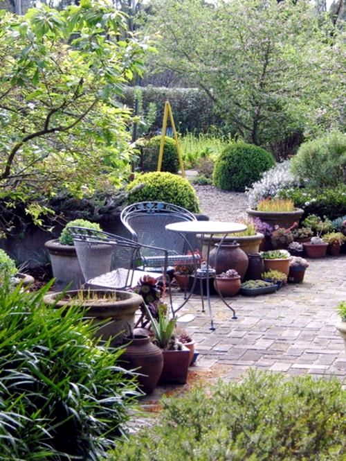 Lush sustainable gardens in Australia who just needs a little care