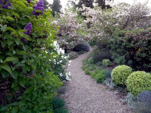 Lush sustainable gardens in Australia who just needs a little care