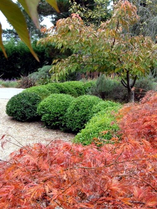Lush sustainable gardens in Australia who just needs a little care