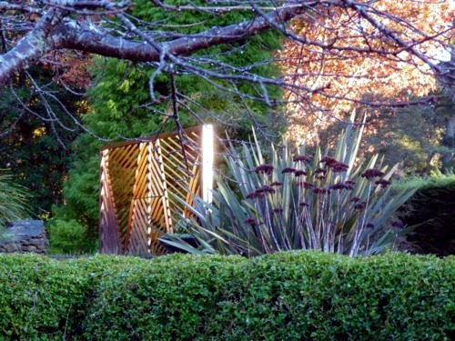 Lush sustainable gardens in Australia who just needs a little care