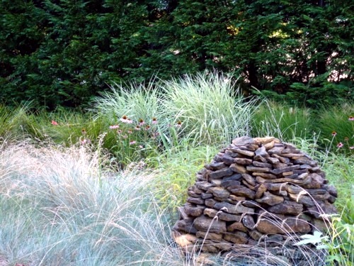 Lush sustainable gardens in Australia who just needs a little care Lush sustainable gardens in Australia who just needs a little care