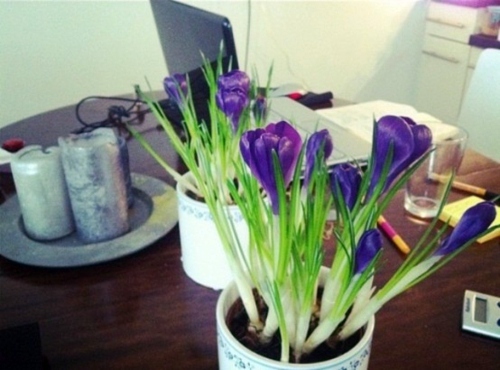 Spring Decorations - 25 Inspiring Ideas