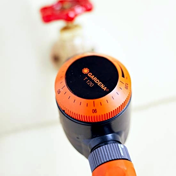 Save water in your garden - ideas