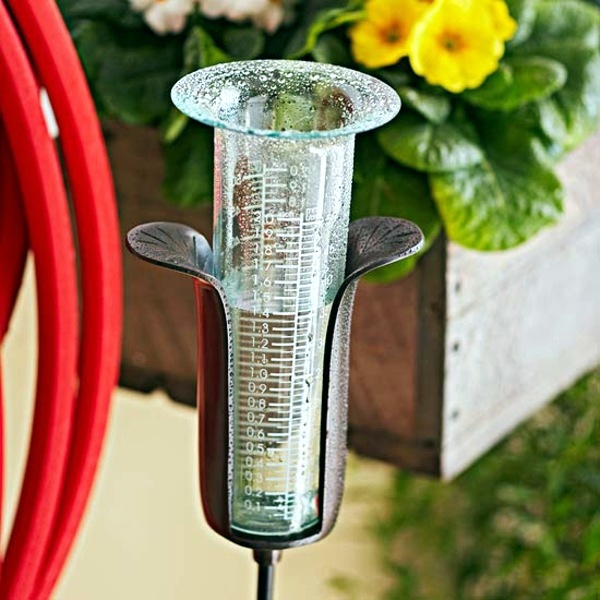 Save water in your garden - ideas