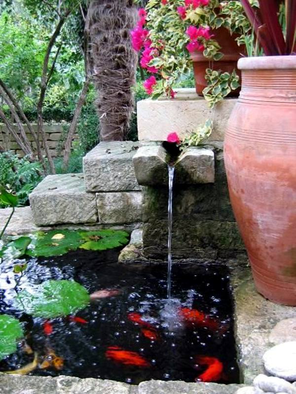 Creating a garden pond and create a green oasis