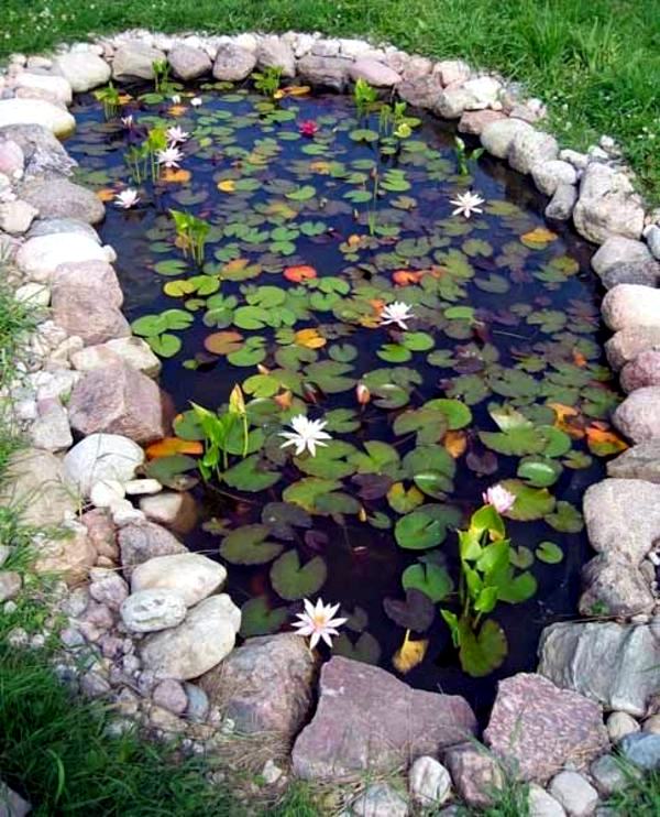 Creating a garden pond and create a green oasis