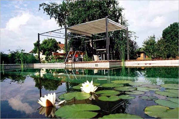Creating a garden pond and create a green oasis