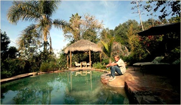 Creating a garden pond and create a green oasis