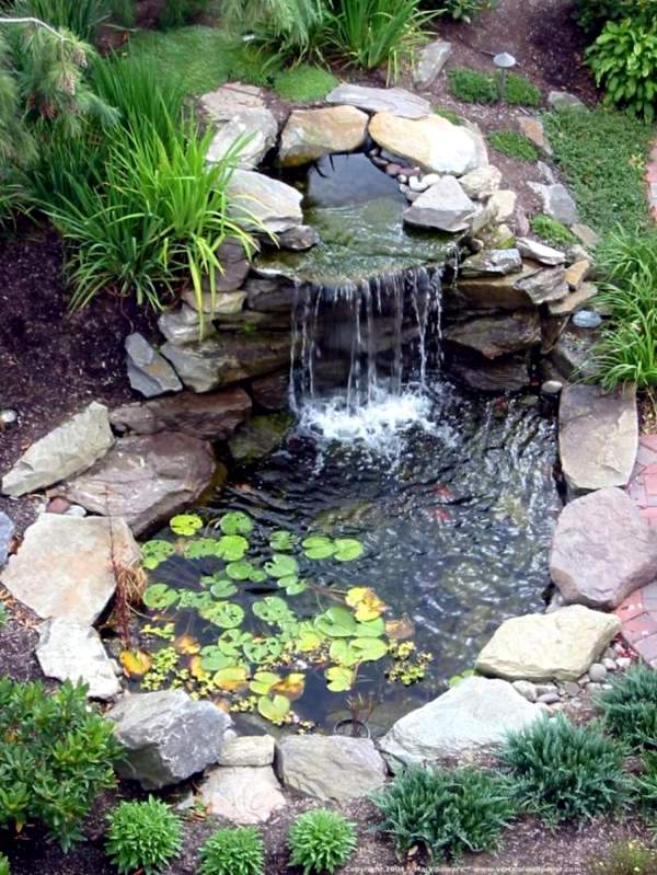 Creating a garden pond and create a green oasis