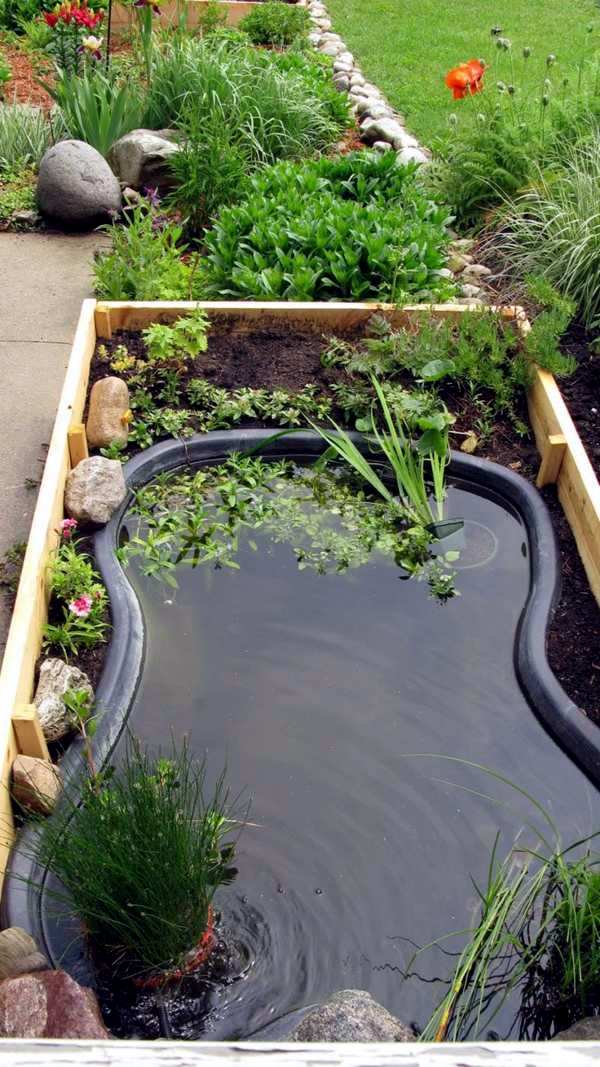 Creating a garden pond and create a green oasis