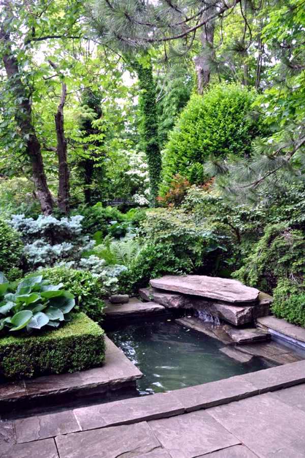 Creating a garden pond and create a green oasis