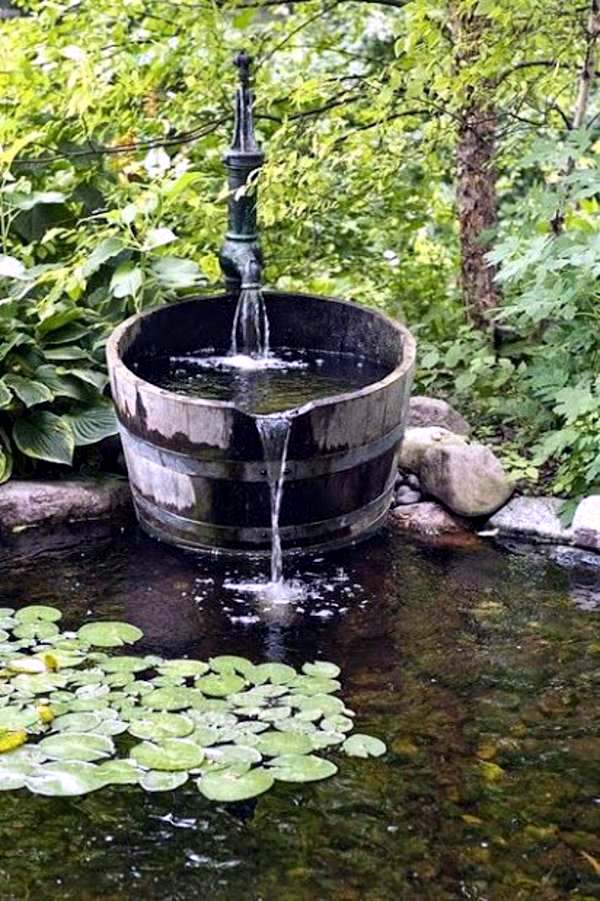 Creating a garden pond and create a green oasis
