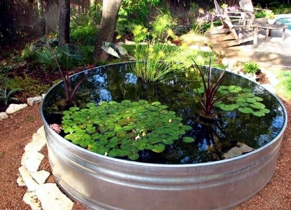 Creating a garden pond and create a green oasis