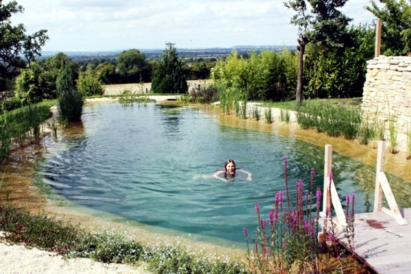 Creating a garden pond and create a green oasis