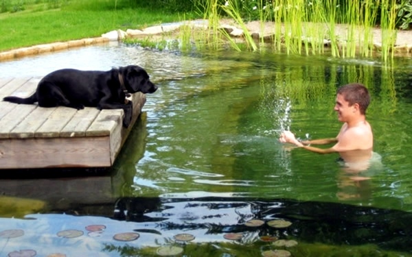 Creating a garden pond and create a green oasis