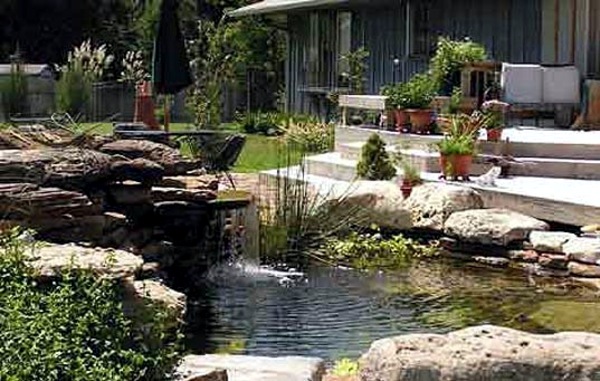 Creating a garden pond and create a green oasis