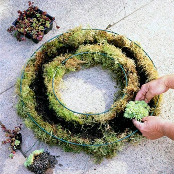 Garden Design: Plant a living wreath