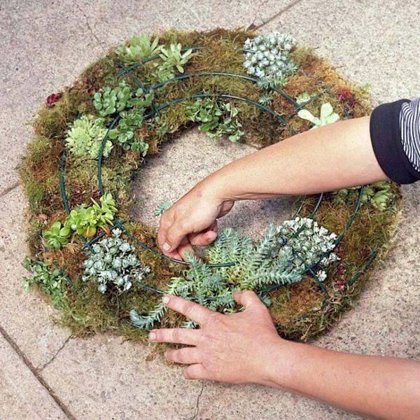 Garden Design: Plant a living wreath