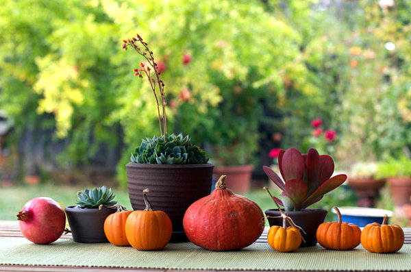 Pumpkin Decorating Ideas Cool Autumn Decoration For Diy