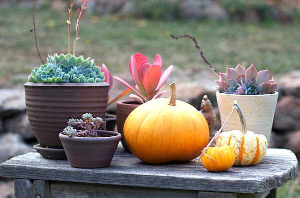 Pumpkin decorating ideas - cool autumn decoration for DIY