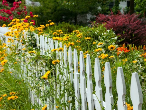 Garden fence and garden borders ideas - useful and beautiful designer suggestions