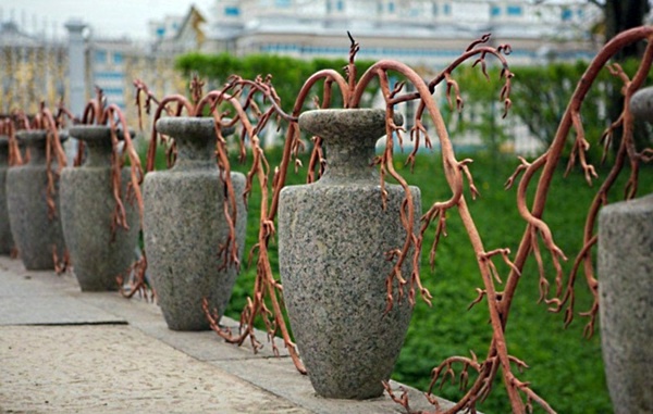 Garden fence and garden borders ideas - useful and beautiful designer suggestions