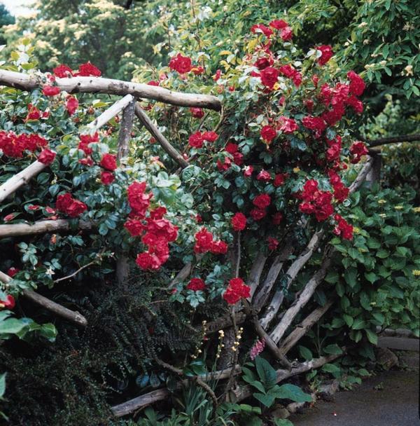 Garden fence and garden borders ideas - useful and beautiful designer suggestions