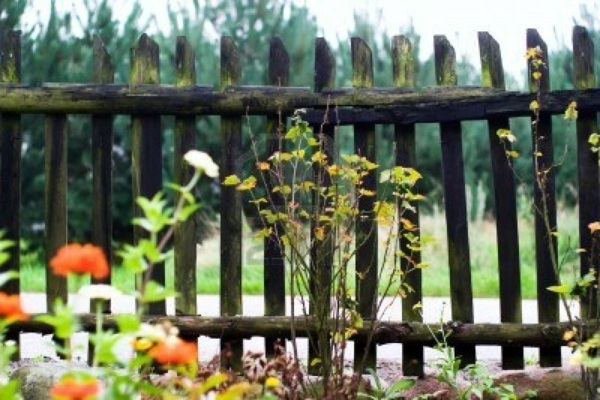 Garden fence and garden borders ideas - useful and beautiful designer suggestions