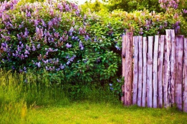 Garden fence and garden borders ideas - useful and beautiful designer suggestions